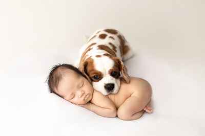Tiny Posers